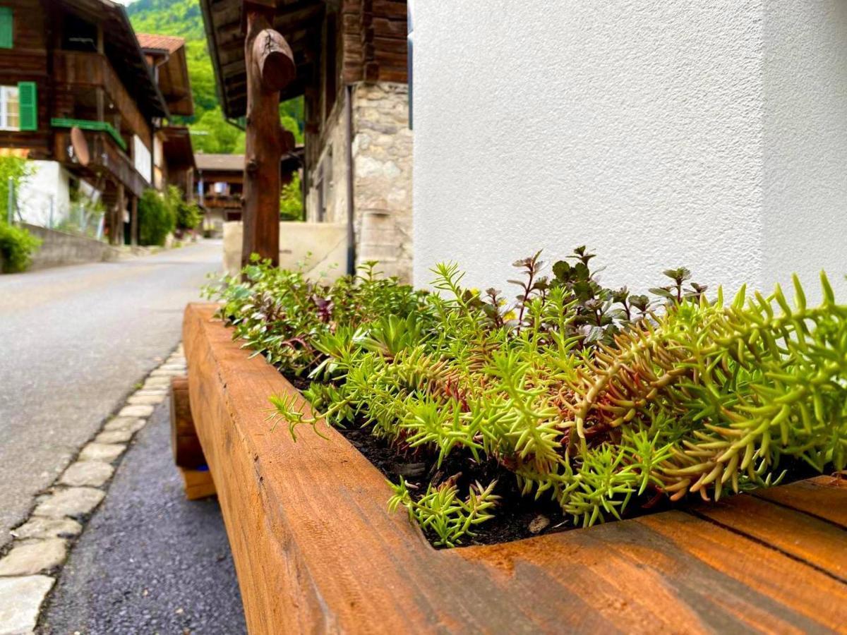 Apartmán Beim Brunnen Gsteigwiler Exteriér fotografie